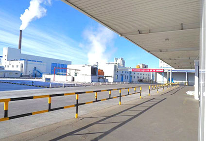 大庆杜尔伯特伊利乳业有限责任公司